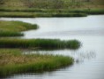 /album/un-vistazo-al-estado-guarico/represa-jpg/
