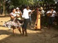 /album/un-vistazo-al-estado-guarico/joropo-jpg/